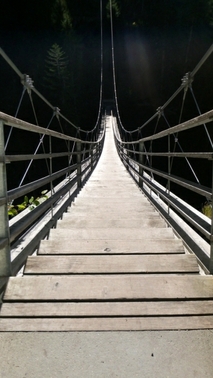 Traversina Hanging Bridge