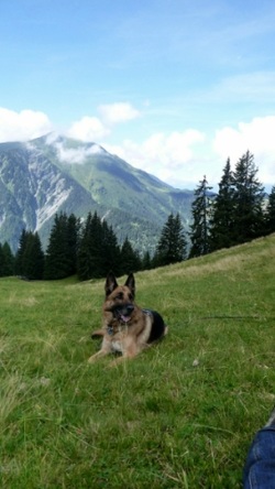 Jochen high up in an alpine meadow
